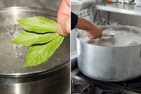 Что добавить в кастрюлю, где млеет холодец, чтобы он понравился всем родственникам, соседям, гостям и капризному зятю