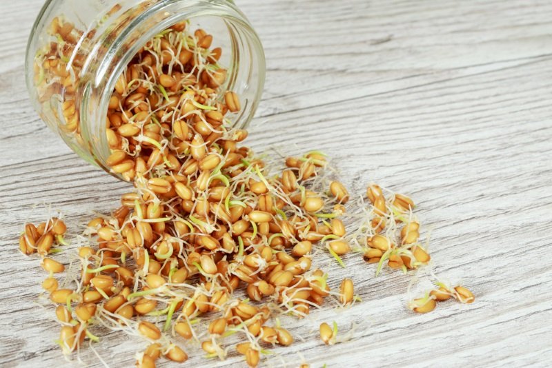 мода на здоровый образ жизни