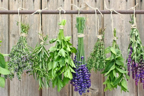 Как собирать купальские травы