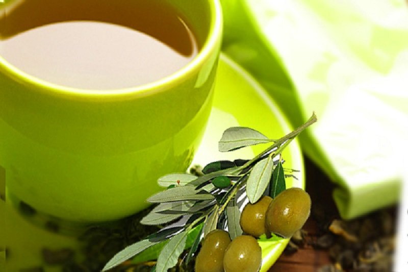 чай из листьев оливкового дерева