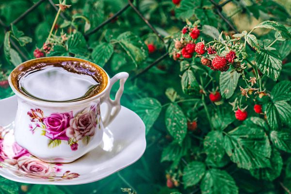 На солнце сушат только сено, чай из листьев малины не получится, если пересушить листы под прямыми лучами солнца