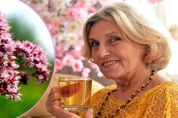 Мне уже 65, в больницах не бываю! Всего лишь 3 раза в неделю пью этот чай из обычной…