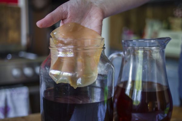 Оказалось, что чайный гриб очищает воду лучше любых фильтров, учусь выращивать его в домашних условиях