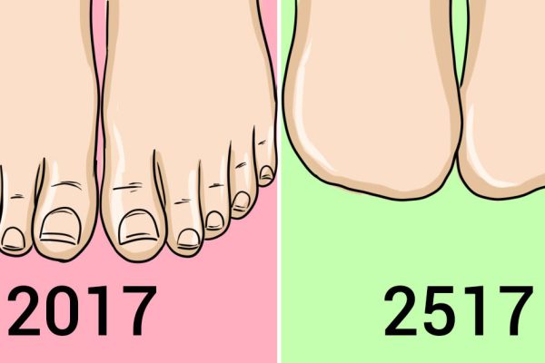 Оказывается, пальцы на ногах нам больше не нужны… Почему так произошло? Узнай прямо сейчас.