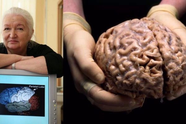 Вот почему у музыкантов меньше шансов встретить в старости «дедушку Альцгеймера» и «дедушку Паркинсона»!