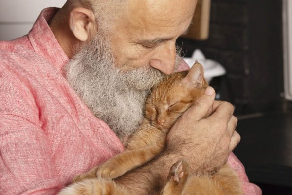 Что говорит о человеке нежелание заводить домашних животных, по мнению практикующего психолога