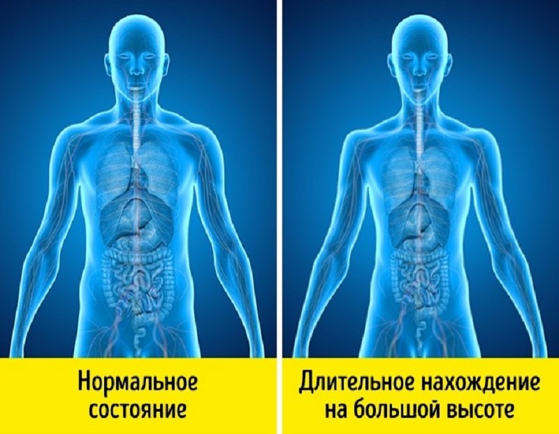 Гипоксия на высоте. Профилактика ВЫСОТНОЙ болезни. Декомпрессионная болезнь. Горная болезнь симптомы.