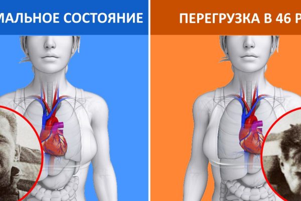 Эта информация не даст погибнуть в экстремальной ситуации!