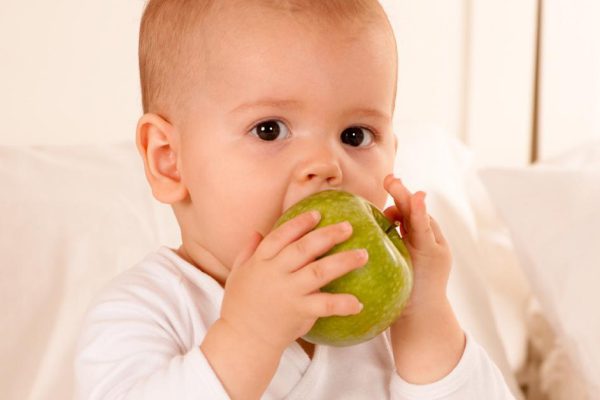 Можно ли давать ребенку в год твердую пищу