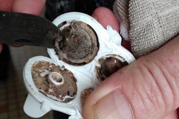 Она долго не могла понять, почему ее ребенок так часто болеет… Пока не заметила ЭТО!