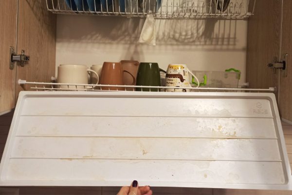 Чистка поддона для сушки посуды, который не вынимали с прошлого Нового года