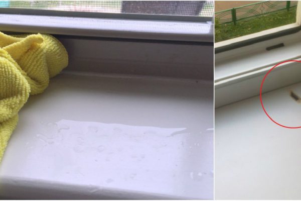 Даже самые устойчивые пятна исчезнут без следа, если почистить подоконник этим средством!