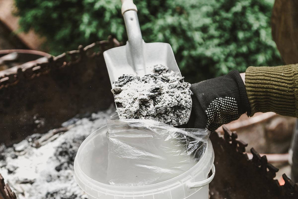 большие томаты