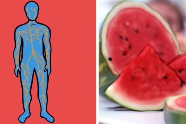 Вот о чём говорят врачи: невероятное действие арбуза на кровяное давление! Не знал…