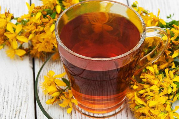 Полезные свойства зверобоя для организма