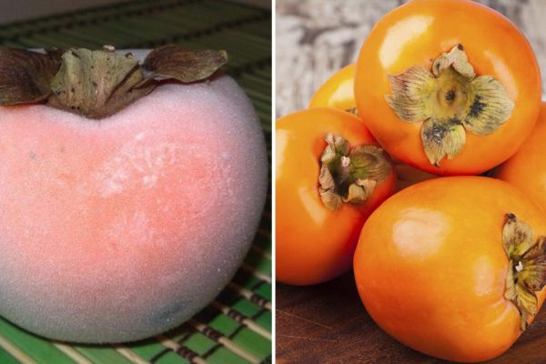 Прозорливая старушка замораживает хурму и угощает случайных путников у озера