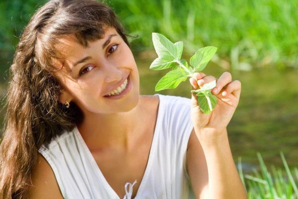 Чем полезна мята для организма