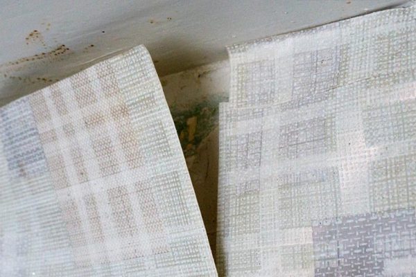 Проворный европейский дизайнер нашел, чем заменить обои, угодив капризному супругу