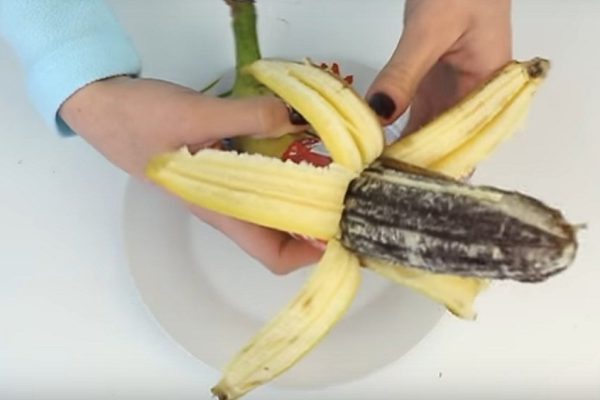 Когда тетушка посмотрела на этот банан, сразу же выбежала прочь!