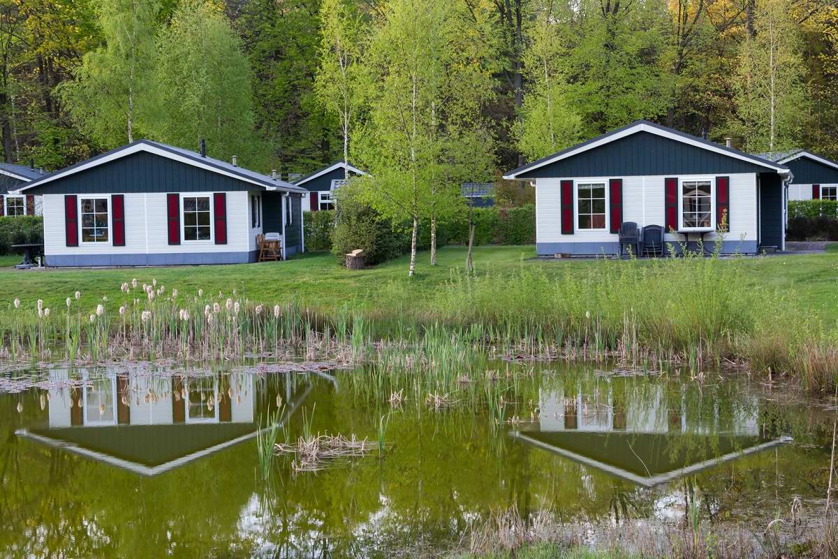 чем заняться в отпуске на даче