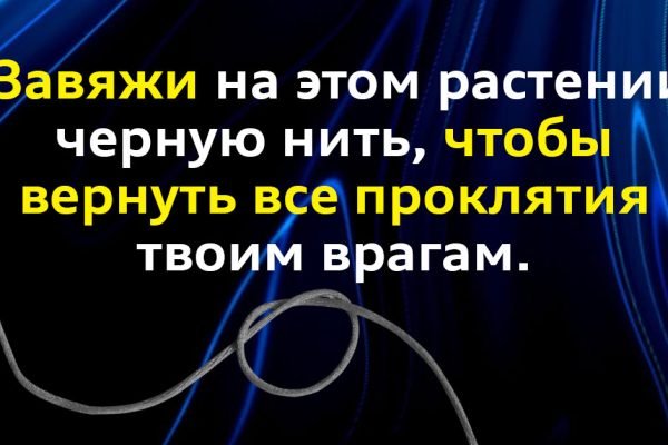 Всё зло и порча вернутся врагам, если завяжешь черную нить на этом растении