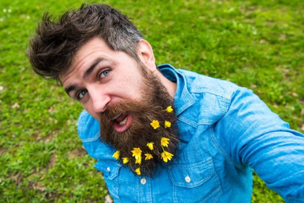Hipster on cheerful face sits on grass, defocused. Man with beard enjoys spring, green meadow background. Natural beauty concept. Guy with lesser celandine flowers in beard taking selfie photo.
