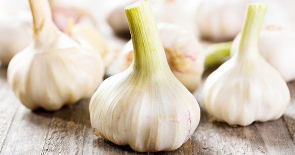 Чесночный ликер, который спасет от сотни болезней. Доверься народной медицине!