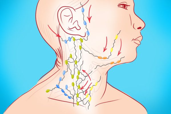 Золотые рецепты фитотерапии: очищение лимфы в один прием