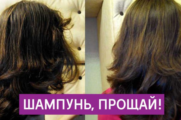 Как мыть голову реже: 9 проверенных хитростей от стилистов плюс рецепт шампуня.