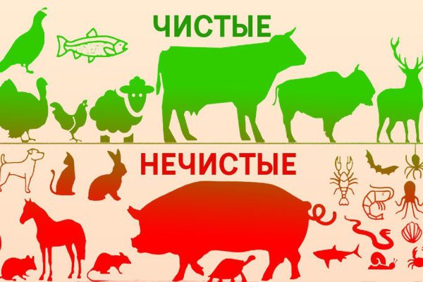 Ученые решили разобраться, почему Бог разделил животных на чистых и нечистых. Пересмотрю свое питание…