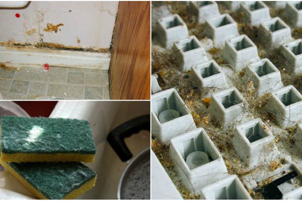 Как очистить даже те места в доме, на которые давно махнула рукой!