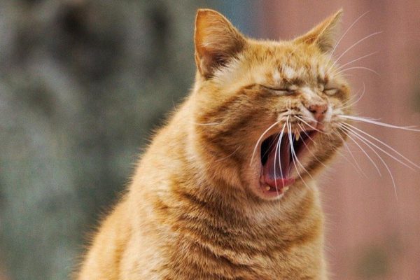 Бывший был дальнобойщиком и научил, как бороться со сном, если нельзя засыпать