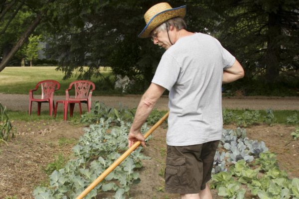Чем заняться на даче