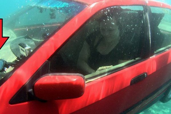 Как выбраться живым из тонущей машины: она вспомнила этот совет вовремя!