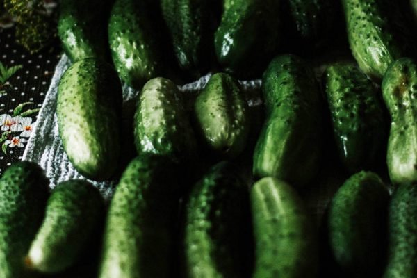 Свекровь привезла нам ведро огурцов для закваски, но там были лишь большие и старые овощи, зато дочку свою она не обделила