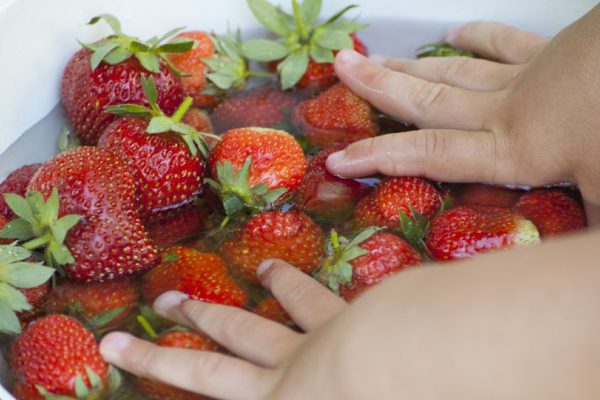 Отчаянные домохозяйки «купают» клубнику в содовом растворе, чтобы свести риски к минимуму