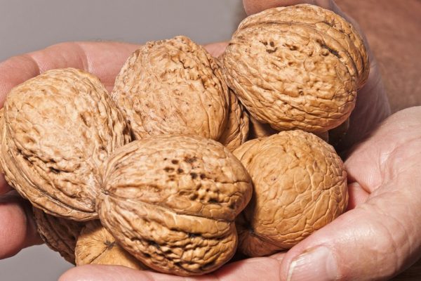 Что приготовить из орехов, если их тяжело разгрызать и жевать