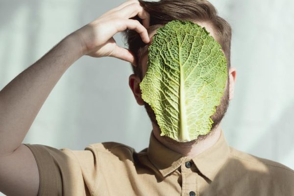 Разбираемся раз и навсегда, в чём разница между веганами и вегетарианцами