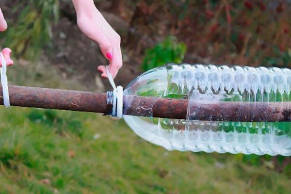 Что сделать с бутылками от воды, если к весне их слишком много накопилось