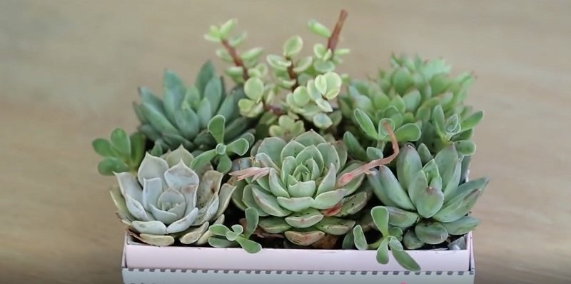 картонные коробки