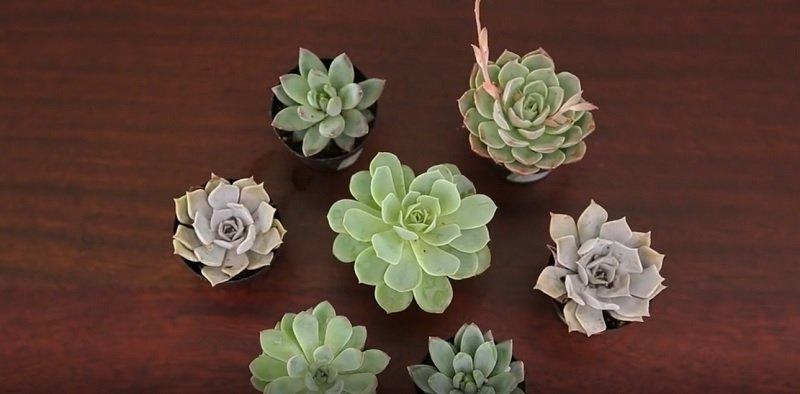 картонные коробки