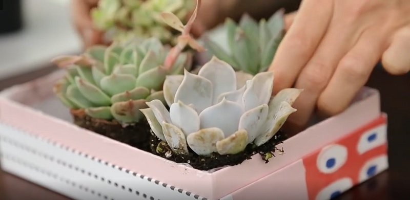 картонные коробки