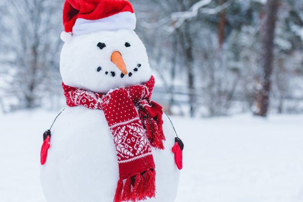 Как настроиться на удачный год Крысы