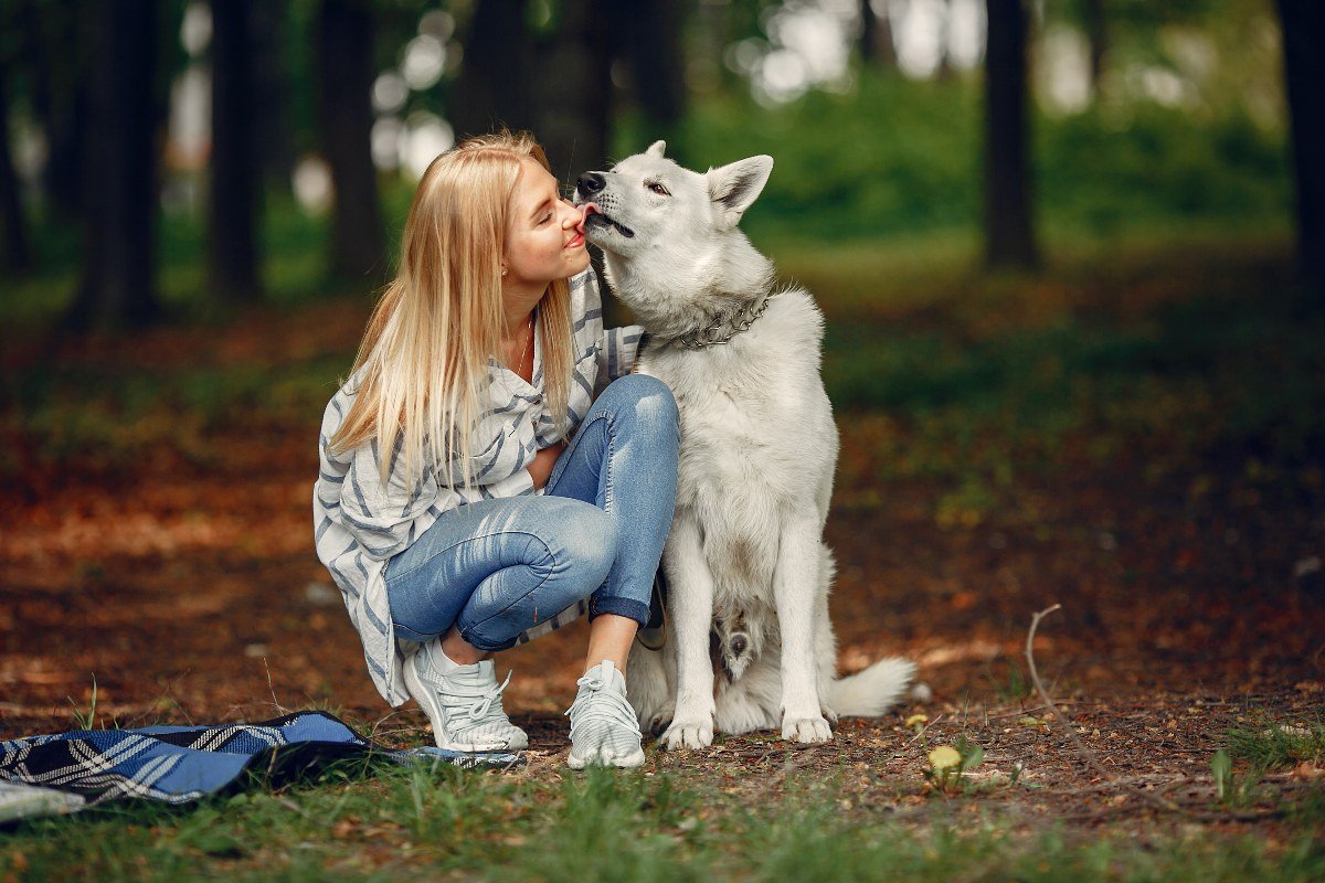 Собачник рассказывает, как показать свою любовь и преданность собаке Вдохновение,Советы,Животные,Питомцы,Собаки