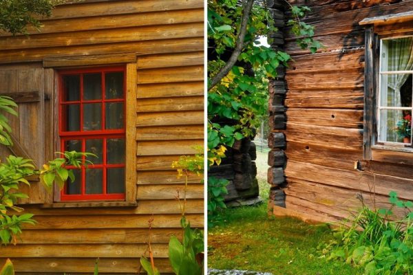 Что посадить у крыльца дома