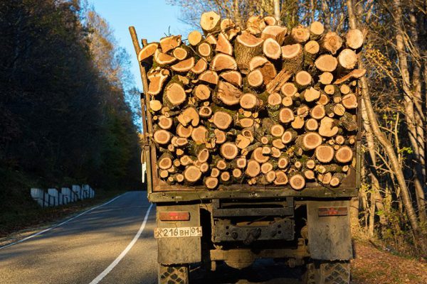 Деревянный пол из спилов дерева своими руками, который прославил супруга на всё село