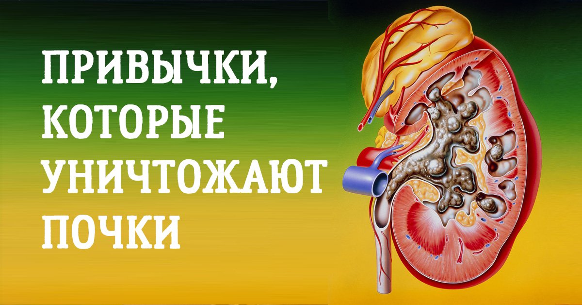 Результат пошуку зображень за запитом "МЫ САМИ УБИВАЕМ НАШИ ПОЧКИ. 10 привычек, о которых нужно забыть навсегда!"