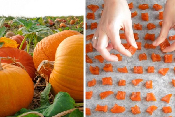 Как приготовить цукаты из тыквы