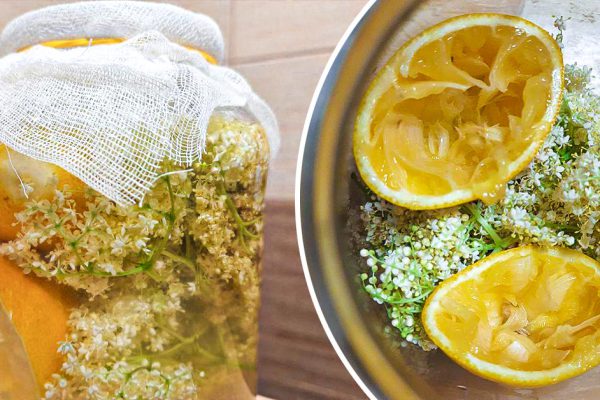 Девушка из Украины приготовила в Шотландии 5 л кваса из бузины, гости были в восторге