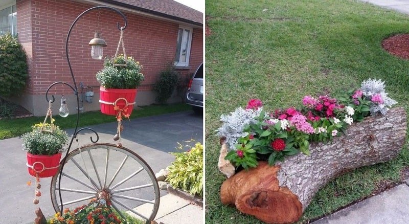 клумбы из пней